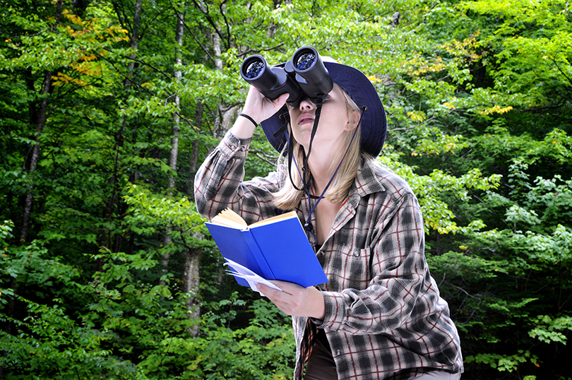 birding 2